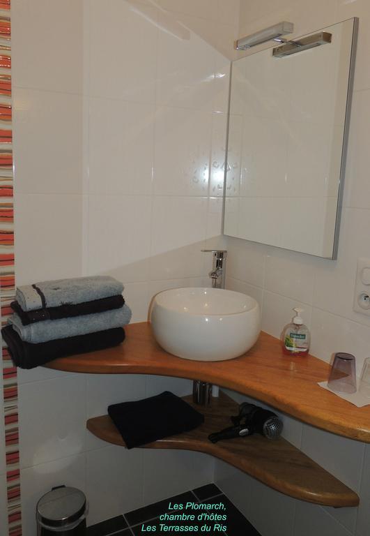 Bed and Breakfast Les Terrasses Du Ris Douarnenez Habitación foto